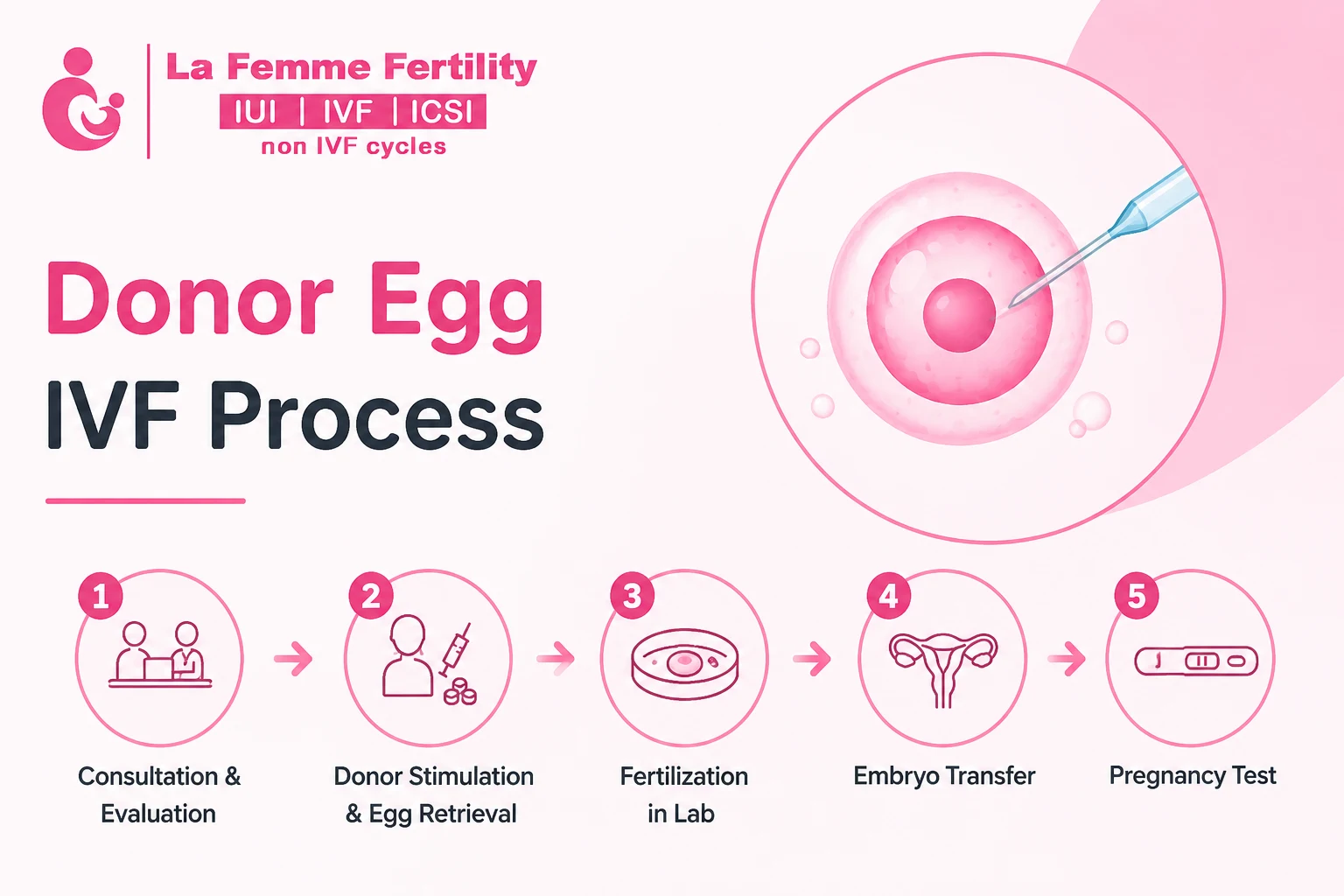 Donor Egg IVF Process