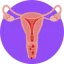 Labioplasty